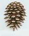 SPI Home 30746 Pinecone Doorknocker