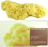 Korres Natural Body Sponge - Large 1 Piece