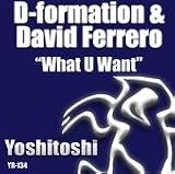 What U Want (remixes) 2X12 inch single