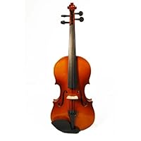 Antique Style Natural Color Full Size 4/4 Violin with Case and Accessories