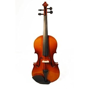 Antique Style Natural Color Full Size 4/4 Violin with Case and Accessories