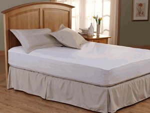 Click here for Mattress Protector-Cal King prices