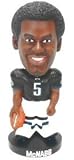 Philadelphia Eagles Donovan McNabb Alternate Forever Collectibles Knucklehead Bobble Head