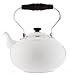 COPCO TEA KETTLE Bristol �z���C�g 477030