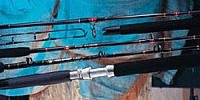 PENN FISHING TACKLE CO (6306CMST ) Big Water Rods MARINER 6 1/2 20-50 LB BOAT RD