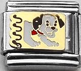 Clearly Charming Dog Canine Dog Breed Animal Pet Italian Charm