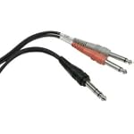 Hosa Cable STP202 TRS To Dual 1/4 Inch Insert Cable (6.5 Foot)