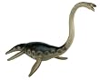 Safari Ltd Carnegie Elasmosaurus