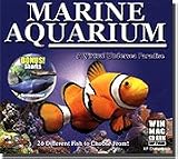 Marine Aquarium + Sharks