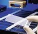 31V88UQLisL. SL75  3 Super Advantages Of Barcoding And Barcode Scanners
