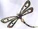 Jewelry : Dragonfly Pin MULTI