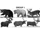MAPLE LEAF PRESS NFAA OFFICIAL ANIMAL TARGETSDescription: Group 1