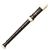 Recorder Accessories