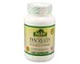 Alfa Vitamins Pancreatin 120 caps Pancreas Support Normalize Digestion Insulin Production