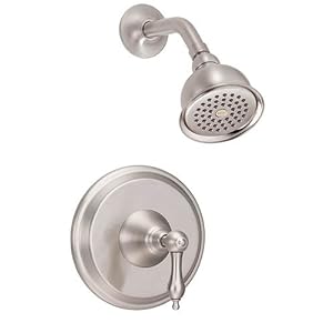 Danze D500540BN Fairmont Single-Handle Showerhead, Brushed Nickel