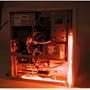 Cables To Go 14IN COLD CATHODE CASE ( 29425 )