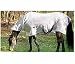TuffRider Fly Sheet with Hood