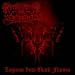 Legions Into Black Flames