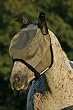 Weatherbeeta Airflow Standard Neck With Freestyle Tail Flap