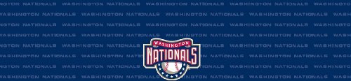 Washington Nationals Team Auto Visor Decal