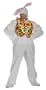 Adult Bunny Costume, White, One Size
