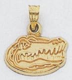 University of Florida Mascot Charm -XC618
