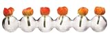 31VA0rG  xL. SL160  Clear Blown Glass Caterpillar Vase   Holds 6 Stems