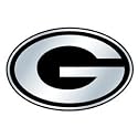Green Bay Packers Silver Car Emblem