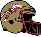SD50702 Florida State University Helmet Holographic Decal