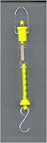 Buy Spring Scale - Tubular 5000g by Science, Art and More