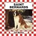 Saint Bernards (Dogs Set IV)