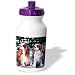 Dogs Cavalier King Charles Spaniel - Two Blenheim Cavalier King Spaniel - Water Bottles