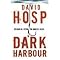 crime novels that pack a punch