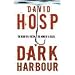 crime novels that pack a punch