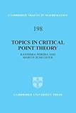 Topics in critical point theory