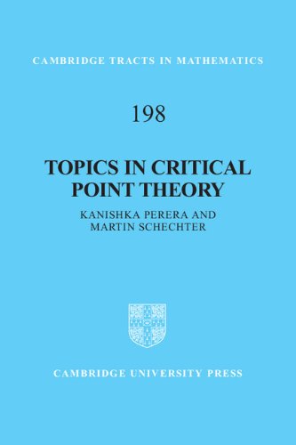 Topics in Critical Point Theory (Cambridge Tracts in Mathematics)