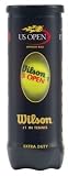 Wilson Sporting Goods 3 Pack Tennis Balls T1071