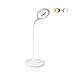 Eye Care 1200mAh Rechargeable Led Desk Lamp, FineWish Warm & Cold White Light Transfer, Unlimited Level Touch Sensor, Adjustable Gooseneck for Home, PC, Reading, Studying, Working (2W, Stand Design)