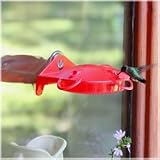 Perky-Pet Plastic Window Hummingbird Feeder  HBW1