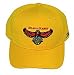 Atlanta Hawks Team Cap