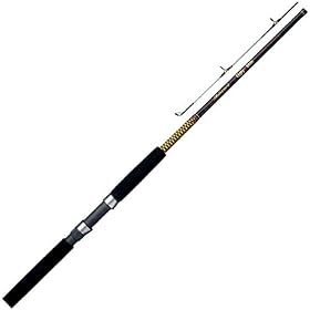 Ugly Stik Big Water 2 Piece Spinning Rod by