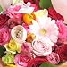 �K���F�̃G���K���g�ȃo���̃u�[�P�@�@�y���ԁz�y���j���z�L�O���z�y�a�����z�y�t�����[�M�t�g�z�y�o���z