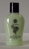 Rain Forest 4.5oz. Hand & Body Lotion