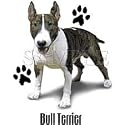 Bull Terrier Adult T-Shirt