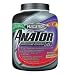 Anator P70