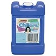 Coleman 5710M718G Brite Ice Chillers - Small