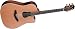Musical Instruments : Takamine GB-7C Acoustic-Electric Guitar