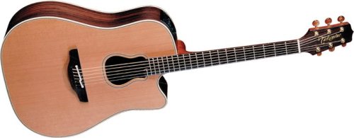Childrens Toyshop  Musical Instruments : Takamine GB-7C Acoustic-Electric Guitar