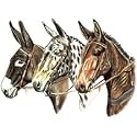 Donkeys Adult T-Shirt