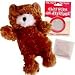 Pet Supplies : Dr. Noy's Cat Toys - Teddy Bear - in.Cat's with an Attitude in.
